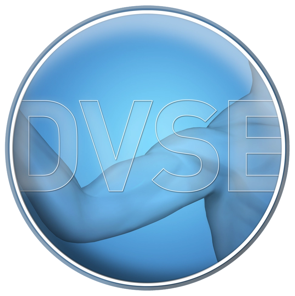 DVSE Logo